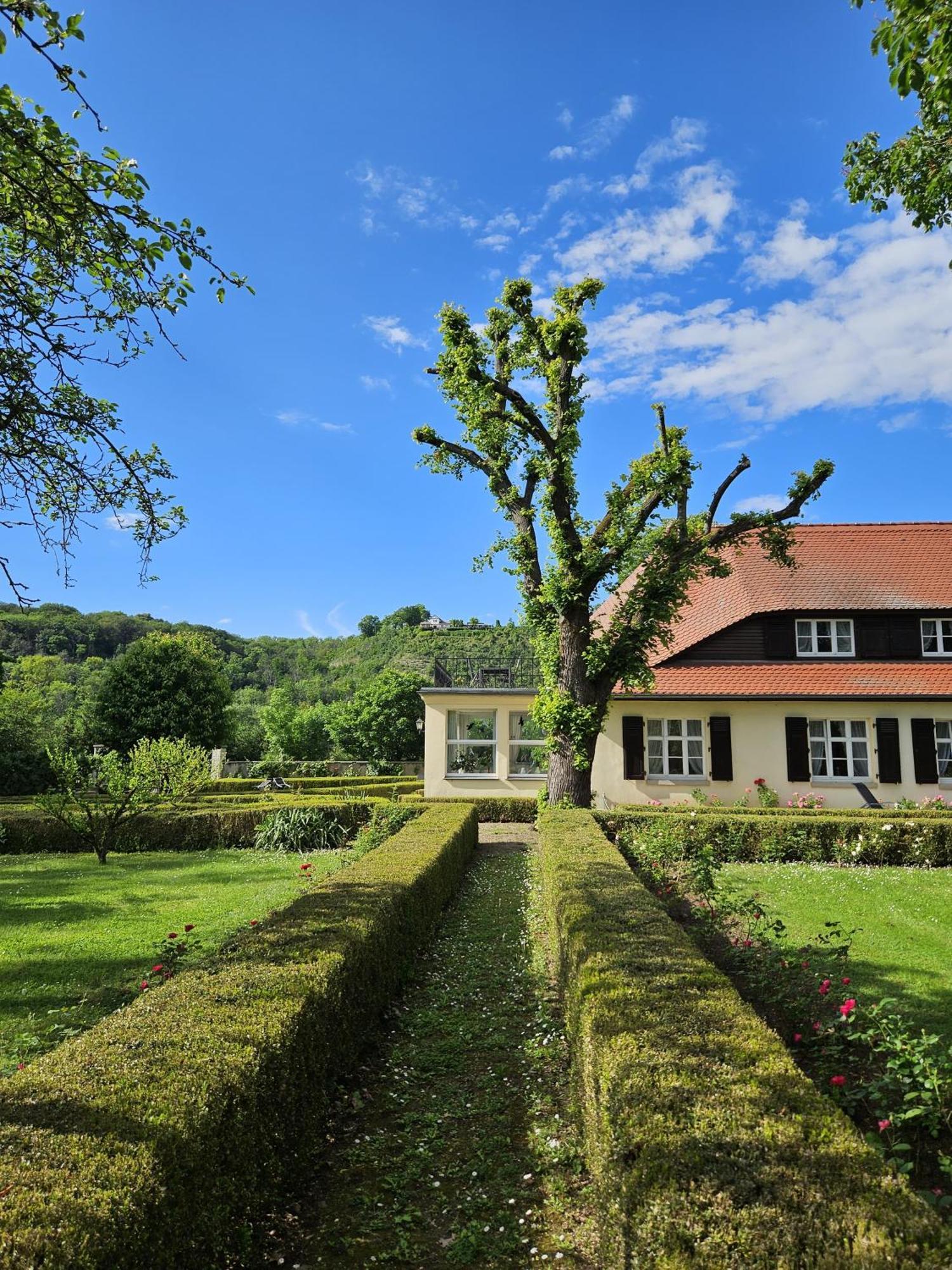 Landhaus Saaleck Naumbourg Extérieur photo